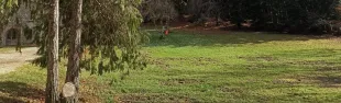 Foto Parco San Michele - Greve