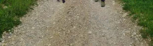 immagine sentiero Chianti