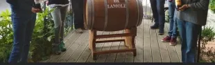 immagine i Profumi di Lamole 2023