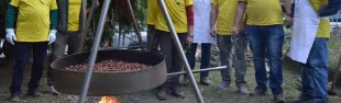 immagine sapori di montagna_marrone Lucolena_Greve in Chianti