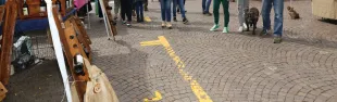 Greve città Slow