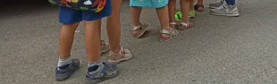 immagine Centri estivi Le Rondini