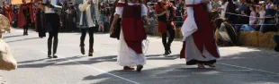 Contrade Sancascianesi