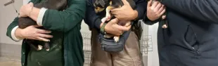 I tre cuccioli: Panna, Latte e Caffè