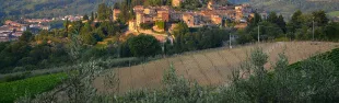 Montefioralle