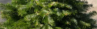 Albero di natale