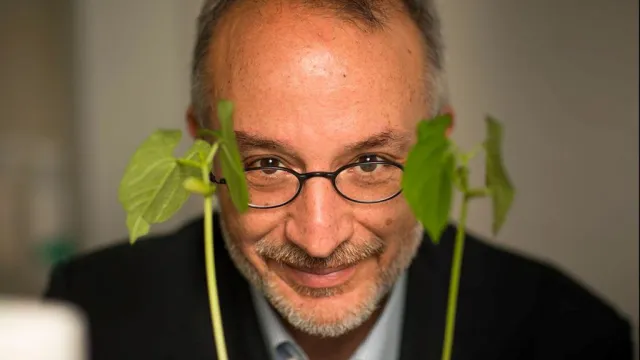 immagine Stefano Mancuso