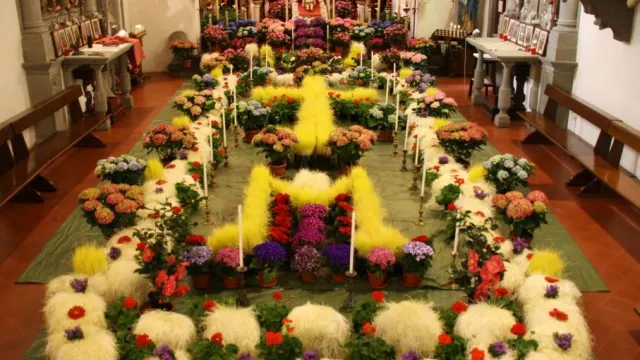 immagine vecce pasquali San casciano