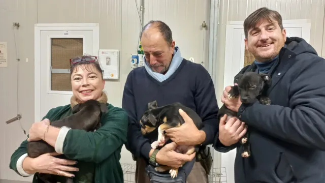 I tre cuccioli: Panna, Latte e Caffè