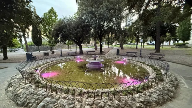 Fontana viola per la fibromialgia