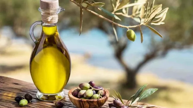Degustazione olio nuovo