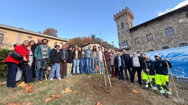 Piantumazione Noce a Greve in Chianti