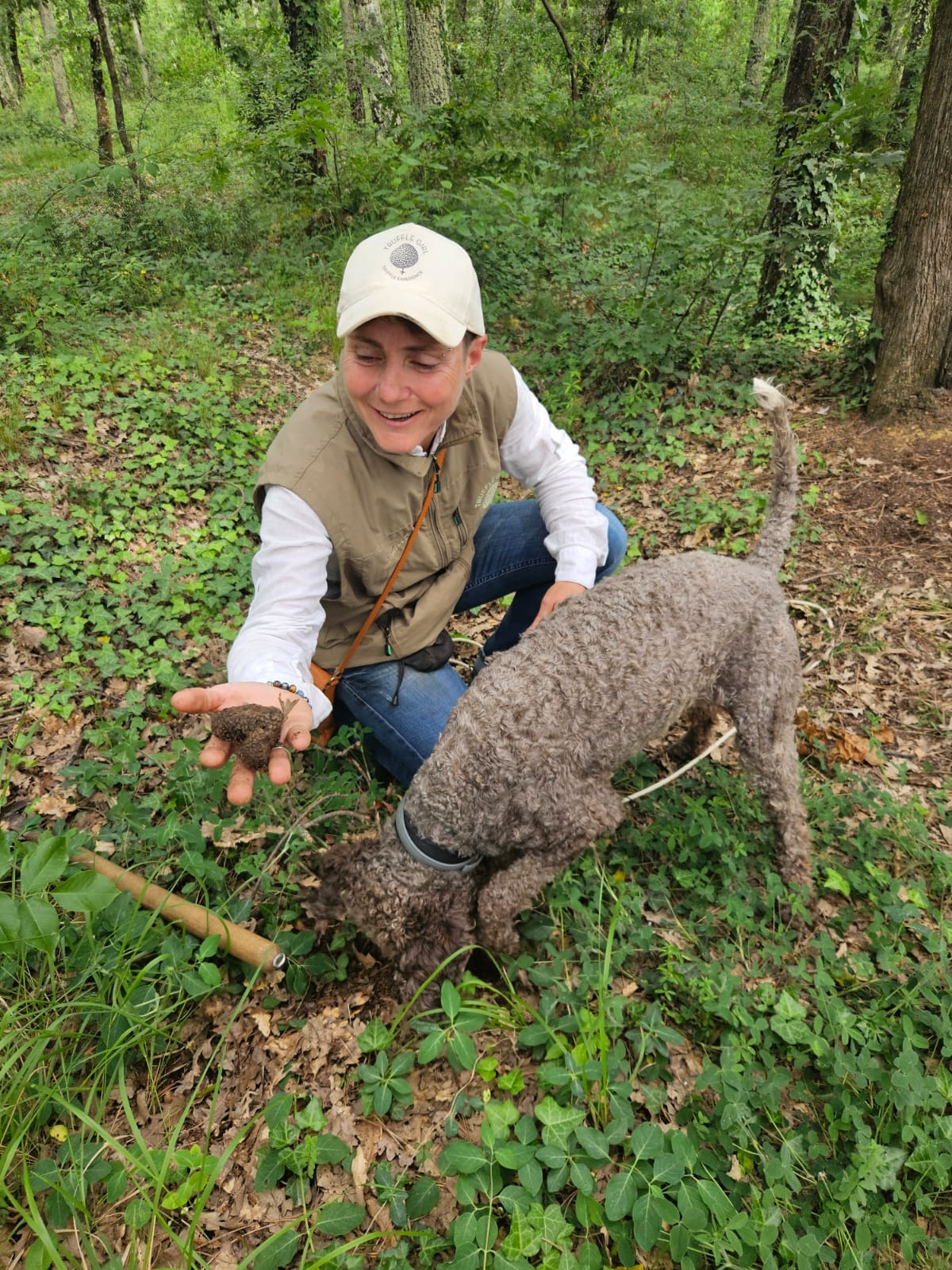 Caccia al tartufo tra i boschi di Barberino Tavarnelle